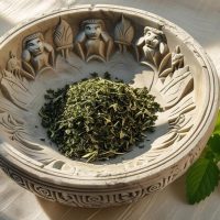 بادرنجبویه خشک (ملیس)