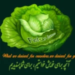 لوگو فروشگاه سبزیجات خشک