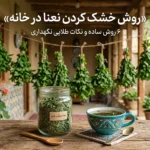 روش خشک کردن نعنا در خانه