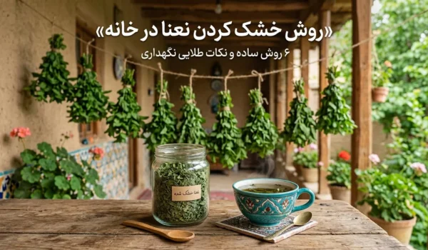 روش خشک کردن نعنا در خانه