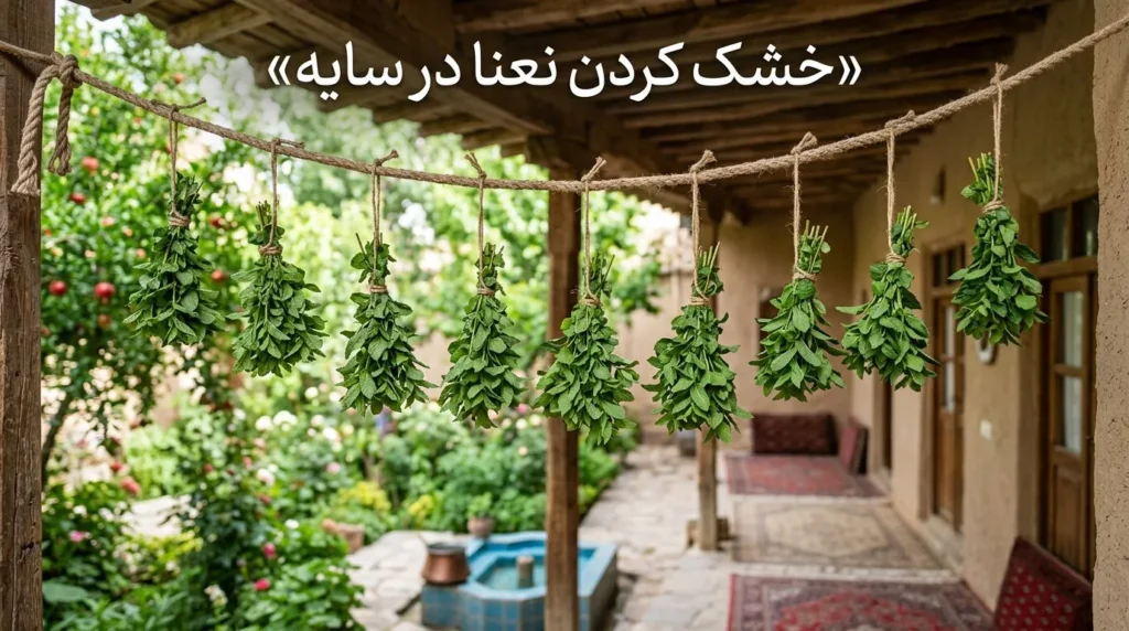 روش اول: خشک کردن نعنا در سایه