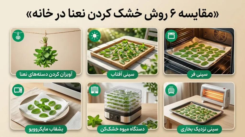 ۶ روش خشک کردن نعنا در خانه؛ کدام روش برای شما مناسب است؟