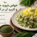 خواص شوید خشک و کاربرد آن در آشپزی؛ راهنمای کامل استفاده از شوید خشک