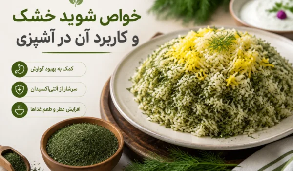 خواص شوید خشک و کاربرد آن در آشپزی؛ راهنمای کامل استفاده از شوید خشک