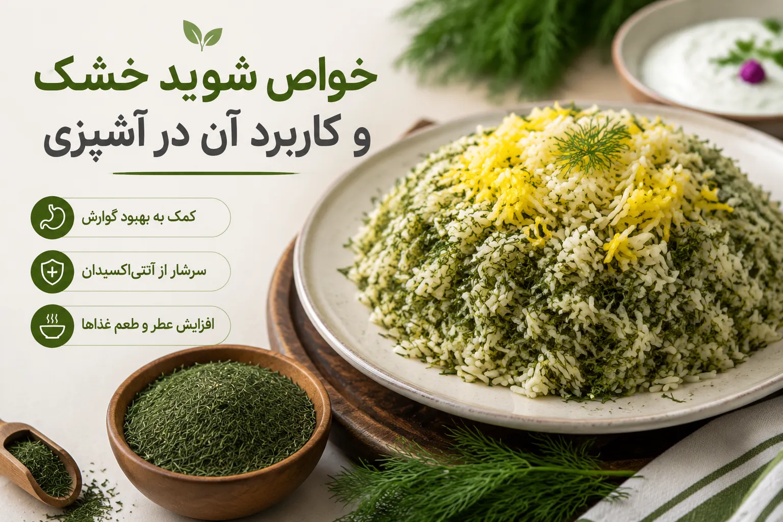خواص شوید خشک و کاربرد آن در آشپزی؛ راهنمای کامل استفاده از شوید خشک