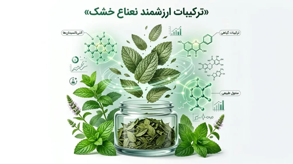 نعناع خشک چه ترکیباتی دارد؟
