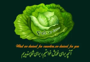 لوگو فلوربانو برند