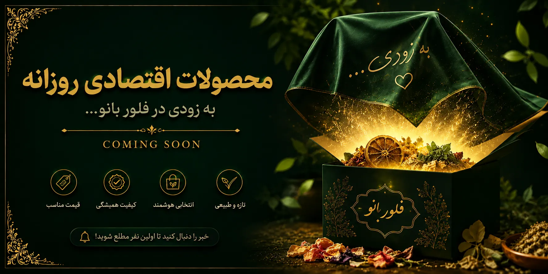 محصولات اقتصادی روزانه